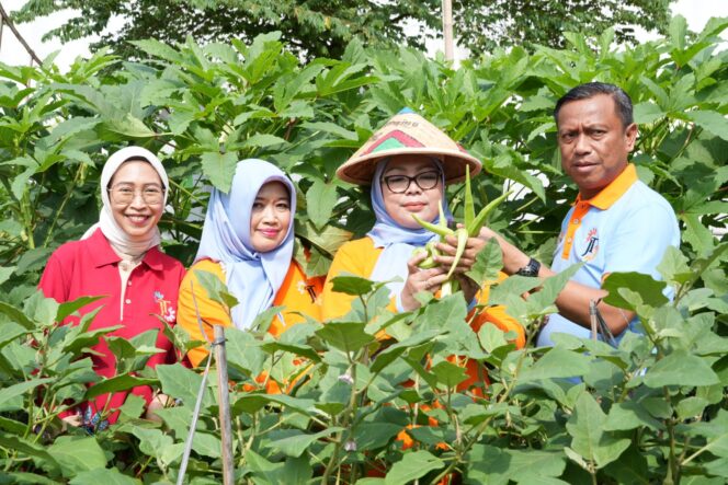 
					Urban Farming Cipinang Melayu Panen 30 Melon, Kolaborasi CSR Perkuat Pertanian Kota