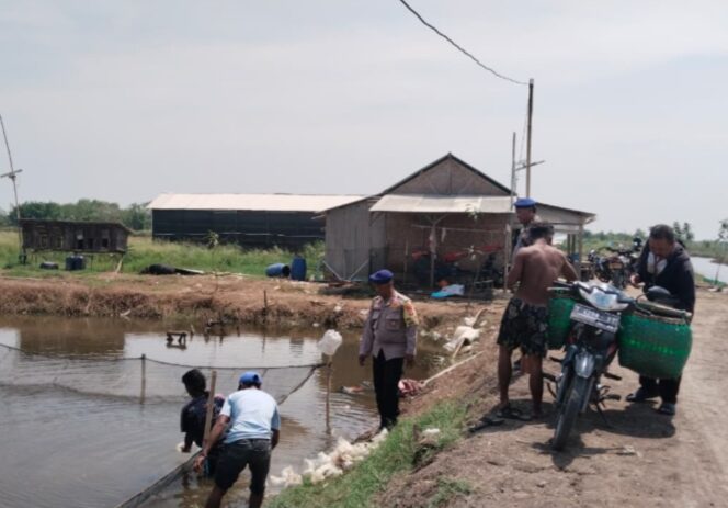 
					Dukung Ketahanan Pangan, Polairud Metro Tebar 10 Ribu Bibit Bandeng