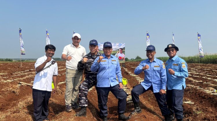 PPAL Ambil Bagian Dalam Gerakan Tanam Tebu Serentak Nasional di Subang