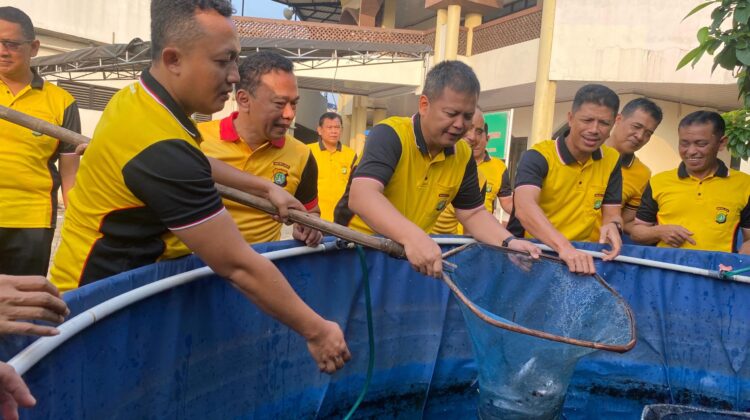 Kapolres Metro Bekasi Kota Panen Lele di Kolam Bioplog, Ribuan Ekor Langsung Ditebar untuk Warga