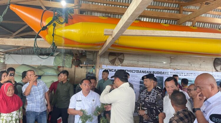 Komandan Lanal Nias Dampingi Gubernur Sumut Bobby Nasution Tinjau Fasilitas Kesehatan dan Budidaya Rumput Laut di Nias Utara
